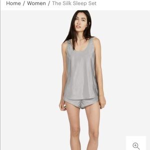 Everlane Silk Sleep Set in Grey